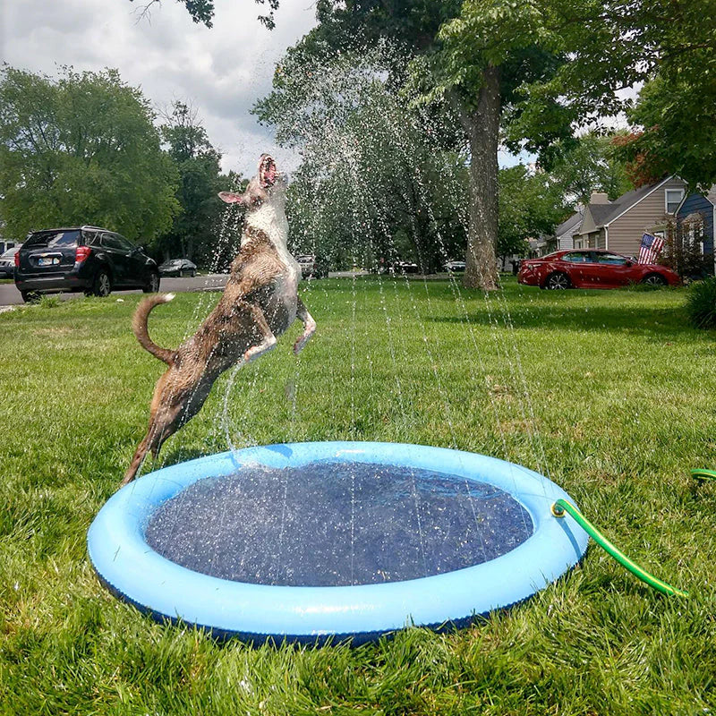 Piscina Chafariz Pet | Oferta de Verão 🔥