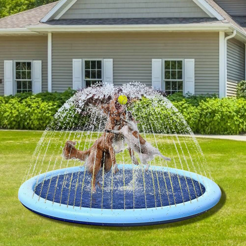 Piscina Chafariz Pet | Oferta de Verão 🔥